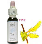 32.vine.