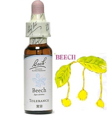 3Beechi