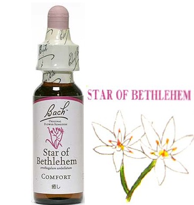 29.starohbethllehem