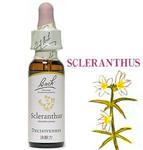 28.scleranthus