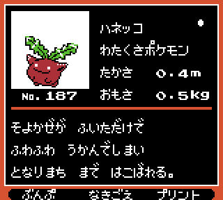 haneko1.jpg