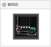 boss.jpg