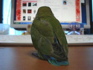 2010-03-19-03.jpg