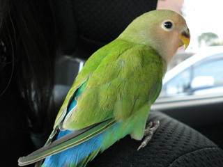 2010-03-26-01.jpg
