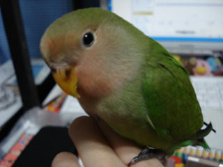 2010-04-05-01.jpg