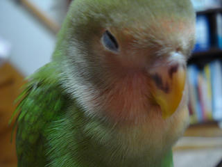 2010-04-09-03.jpg