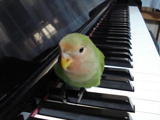 2010-04-17-01.jpg