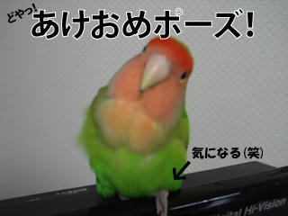 2011-01-07-01.jpg