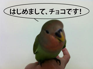 2011-05-08.jpg