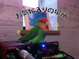 2011-05-17.jpg