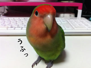2011-05-26.jpg