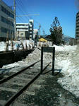 200803211152000.jpg