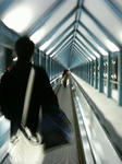 200803212247000.jpg