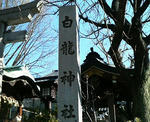 P1000306.jpg