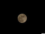 20080420-01.JPG