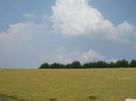 20080805-03.JPG
