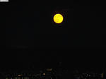 20080916-02.JPG
