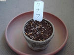 20080922-01.JPG
