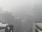 20081210-01.JPG
