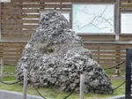 20090214-01.JPG