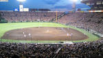 20090715-01.jpg