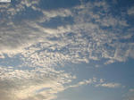 20090823-01.JPG
