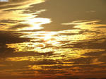 20090823-02.JPG