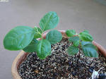 20090823-03.JPG