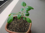 20100512-01.JPG