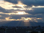 20100514-02.JPG
