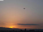 20100517-01.JPG