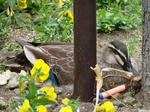 20100518-04.JPG