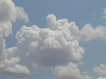 20100601-01.JPG