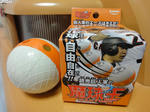 20100622-01.JPG