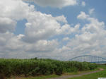 20100630-01.JPG