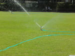 20100726-01.JPG