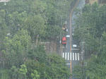 20100803-01.JPG