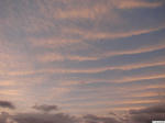 20100808-01.JPG