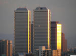 20100917-01.JPG