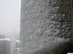 20110214-01.JPG
