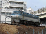 20110215-02.JPG