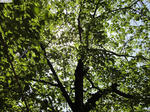 20110507-01.JPG