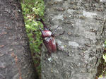 20110807-02.JPG