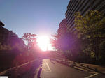 20110907-01.JPG