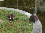 20110926-01.JPG