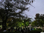 20111103-01.JPG