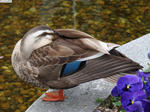20120415-01.JPG