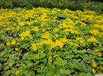 20120520-01.JPG