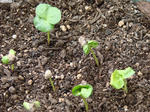 20120526-01.JPG