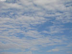 20120603-01.JPG